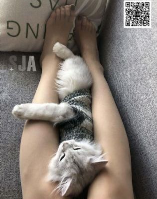 69久久夜色豆麻_BD国语高清在线观看